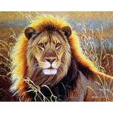 Paint by numbers | Lion in the savannah | animals intermediate lions new arrivals | Figured'Art