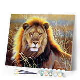 Paint by numbers | Lion in the savannah | animals intermediate lions new arrivals | Figured'Art