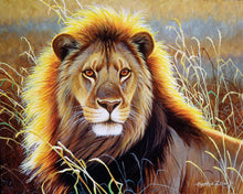 Load image into Gallery viewer, Paint by numbers | Lion in the savannah | animals intermediate lions new arrivals | Figured'Art