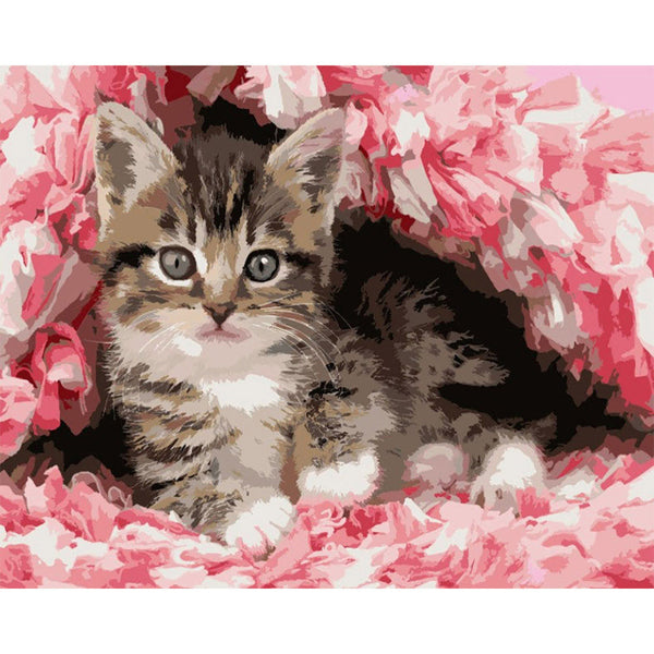 Paint by numbers | Cute Cat | animals cats flowers intermediate new arrivals | Figured'Art
