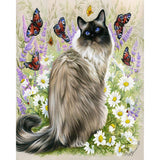 Paint by numbers | Discovery of butterflies | animals cats flowers intermediate new arrivals butterflies | Figured'Art