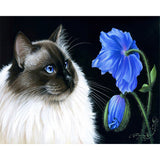 Paint by numbers | Face to face Flowers | animals cats easy flowers new arrivals | Figured'Art