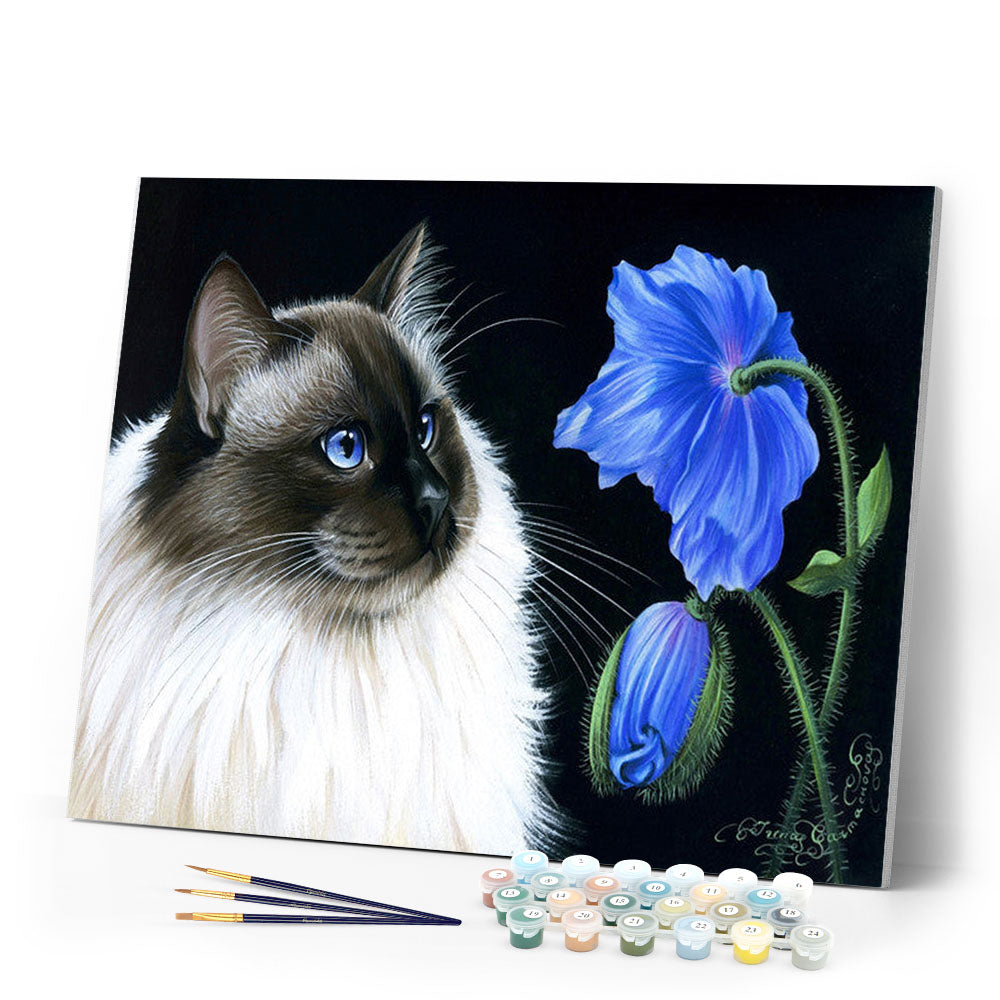 Paint by numbers | Face to face Flowers | animals cats easy flowers new arrivals | Figured'Art