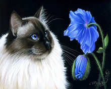 Load image into Gallery viewer, Paint by numbers | Face to face Flowers | animals cats easy flowers new arrivals | Figured'Art