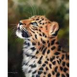 Paint by numbers | Curious leopard | animals intermediate leopards new arrivals | Figured'Art