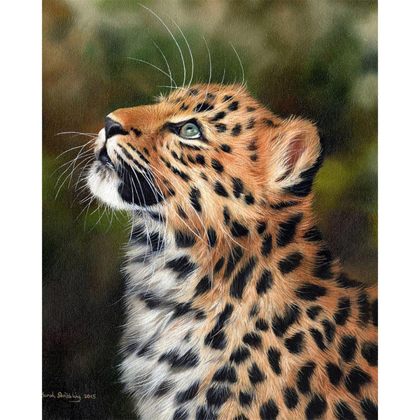 Paint by numbers | Curious leopard | animals intermediate leopards new arrivals | Figured'Art