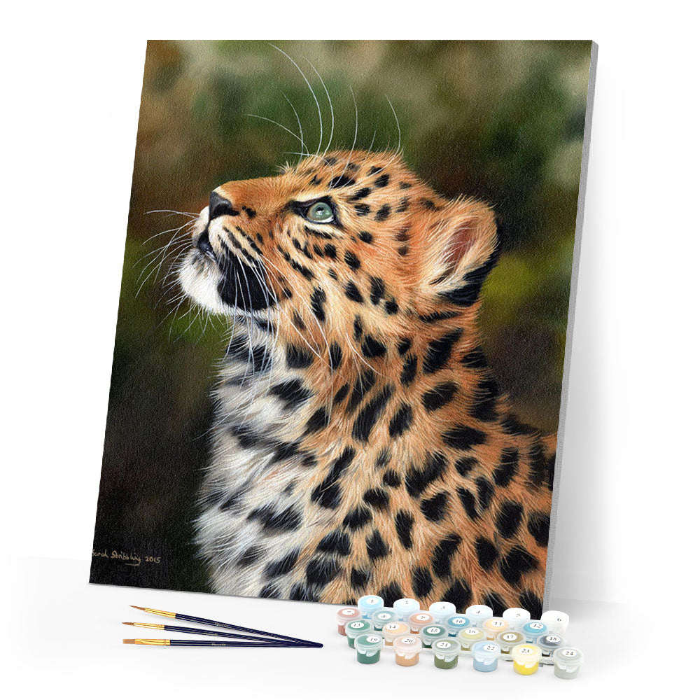 Paint by numbers | Curious leopard | animals intermediate leopards new arrivals | Figured'Art