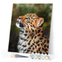 Paint by numbers | Curious leopard | animals intermediate leopards new arrivals | Figured'Art