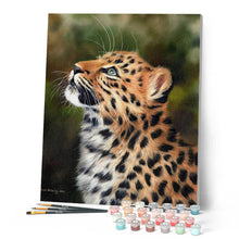 Load image into Gallery viewer, Paint by numbers | Curious leopard | animals intermediate leopards new arrivals | Figured'Art