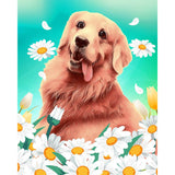 Paint by numbers | Golden retriever and daisies | animals dogs easy flowers new arrivals | Figured'Art
