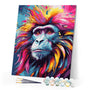Paint by numbers kit Colorful Abstract Baboon Figured'Art