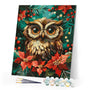 Paint by numbers kit Christmas Owl Figured'Art