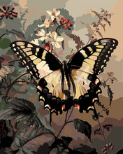 Load image into Gallery viewer, Paint by numbers kit for adults Swallowtail and White Flowers Figured&#39;Art