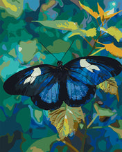 Load image into Gallery viewer, Paint by numbers kit for adults Heliconius Cydno Butterfly Figured&#39;Art