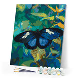 Paint by numbers kit for adults Heliconius Cydno Butterfly Figured'Art