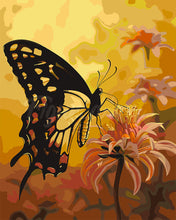 Load image into Gallery viewer, Paint by numbers kit Swallowtail and Orange Flowers Figured&#39;Art