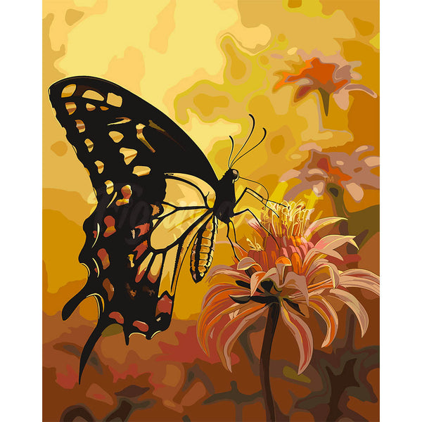 Swallowtail and Orange Flowers