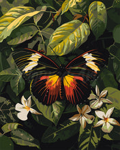 Load image into Gallery viewer, Paint by numbers kit Heliconius Erato Butterfly Figured&#39;Art