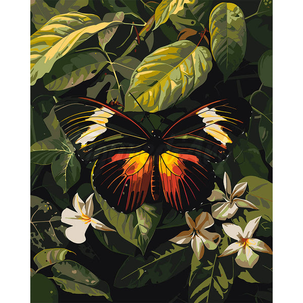 Heliconius Erato Butterfly