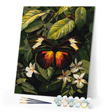 Paint by numbers kit Heliconius Erato Butterfly Figured'Art