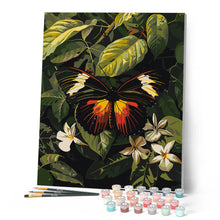 Load image into Gallery viewer, Heliconius Erato Butterfly