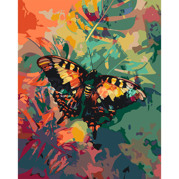 Sunset Moth Butterfly and Colors