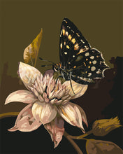 Load image into Gallery viewer, Paint by numbers kit Mormon Butterfly and Flower Figured&#39;Art