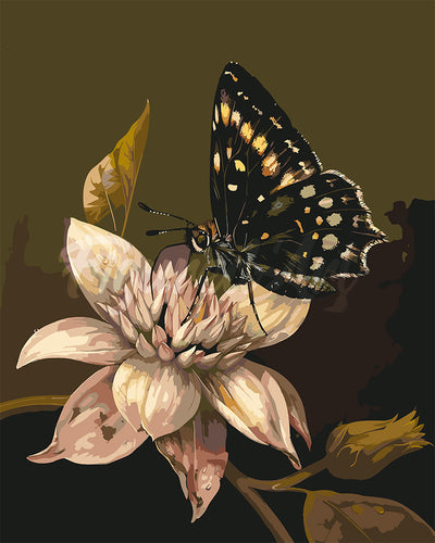 Paint by numbers kit Mormon Butterfly and Flower Figured'Art