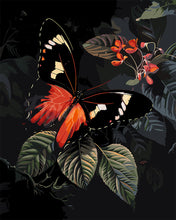 Load image into Gallery viewer, Paint by numbers kit Moneta Longwing Butterfly and Foliage Figured'Art