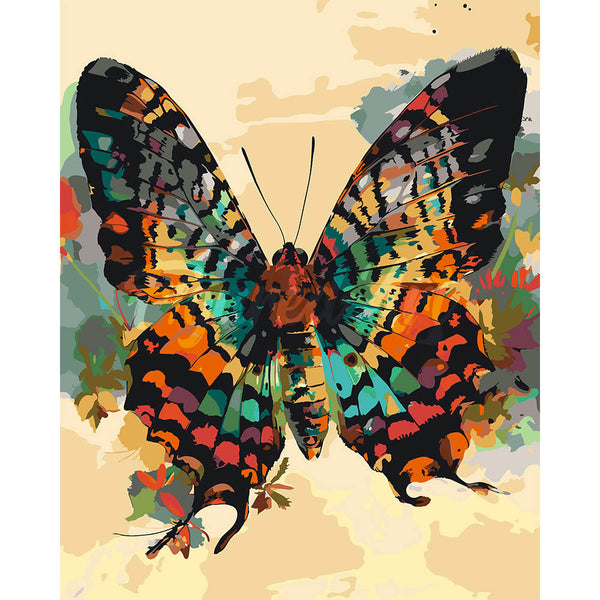 Sunset Moth Butterfly