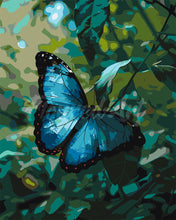 Load image into Gallery viewer, Paint by numbers kit Blue Morpho Butterfly Figured&#39;Art