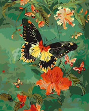 Load image into Gallery viewer, Paint by numbers kit Troides Minos Butterfly Figured&#39;Art