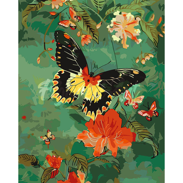 Troides Minos Butterfly