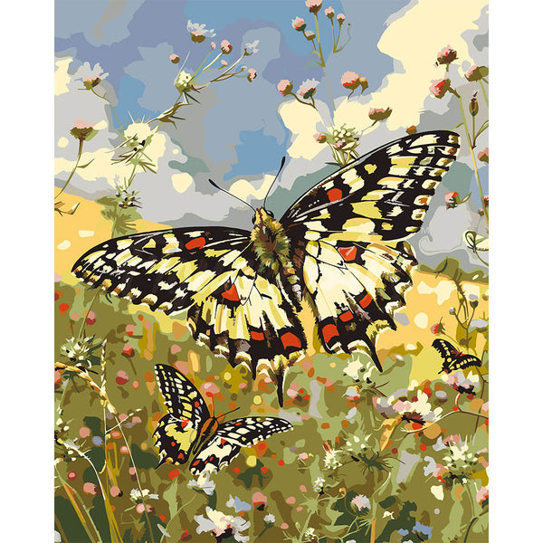 Proserpina Butterfly and Wildflowers