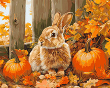 Load image into Gallery viewer, Paint by numbers kit Bunny and Pumpkins Figured&#39;Art