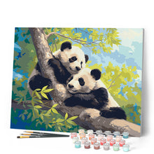 Load image into Gallery viewer, Pandas on a Branch