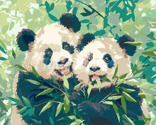 Load image into Gallery viewer, Paint by numbers kit Pandas Eating Bamboo Figured'Art