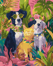 Load image into Gallery viewer, Paint by numbers kit Tropical Pet Trio Figured'Art