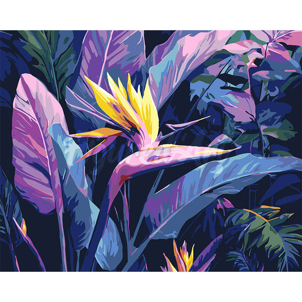 Bird of Paradise