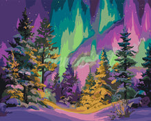 Load image into Gallery viewer, Paint by numbers kit Aurora Forest Figured'Art