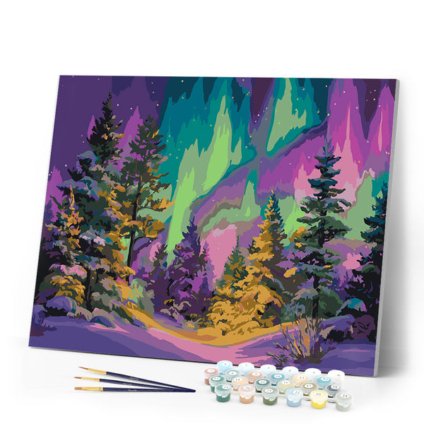 Paint by numbers kit Aurora Forest Figured'Art