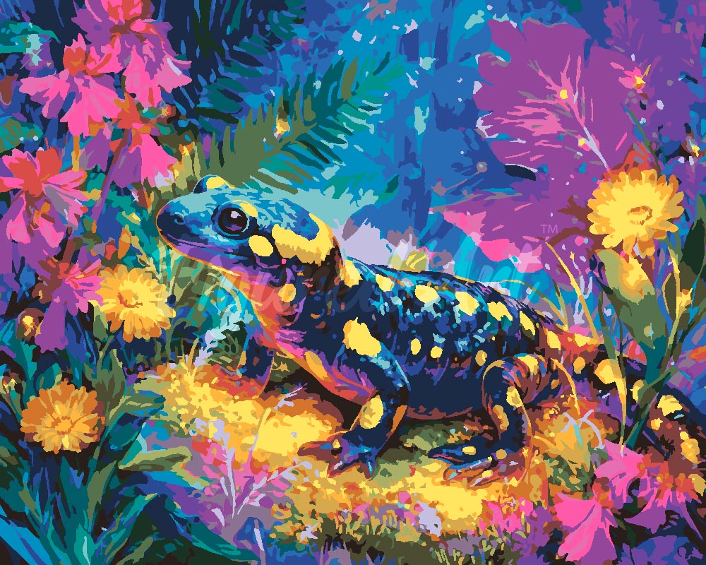 Paint by Numbers for adults - Polka Dot Salamander – Figured'Art