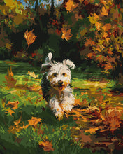 Load image into Gallery viewer, Paint by numbers kit for adults Joyful Pup in Fall Figured'Art