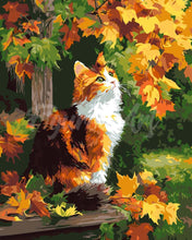 Load image into Gallery viewer, Paint by numbers kit for adults Calico Cat in Fall Figured'Art