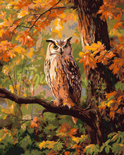 Load image into Gallery viewer, Paint by numbers kit Owl Among Golden Leaves Figured'Art