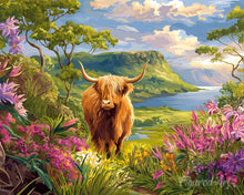 Load image into Gallery viewer, Paint by numbers kit Highland Cow Spring Valley Figured'Art