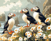 Load image into Gallery viewer, Paint by numbers kit Puffin in daisy field Figured'Art