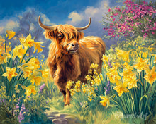 Load image into Gallery viewer, Paint by numbers kit Highland cow and daffodils Figured'Art