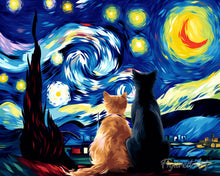 Load image into Gallery viewer, Paint by numbers kit Starry Night Companions Figured'Art