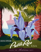 Load image into Gallery viewer, Paint by numbers kit Discover Puerto Rico Figured'Art